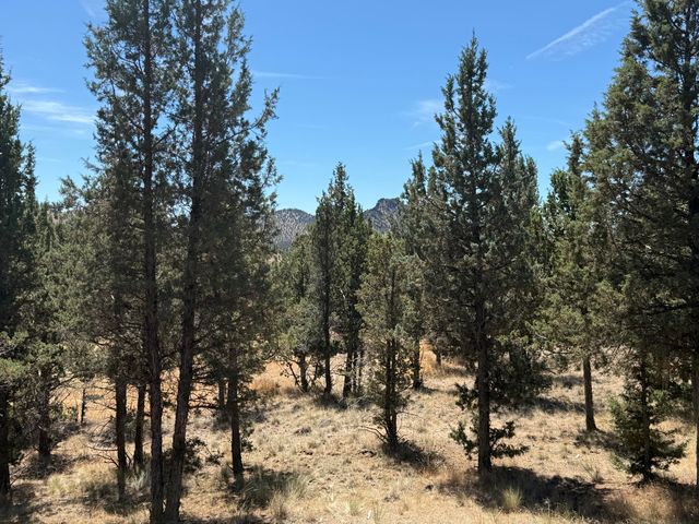 10164 SE Sundown Lane, Prineville, OR 97754