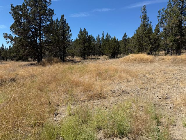 10164 SE Sundown Lane, Prineville, OR 97754