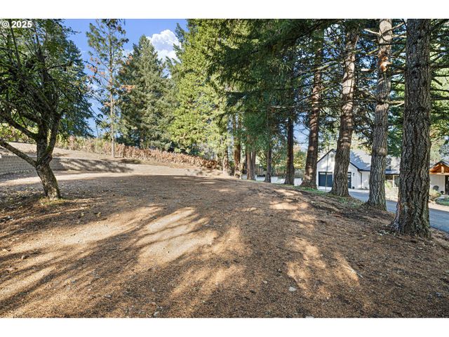 79579 ABBOTT Ln, Cottage Grove, OR 97424