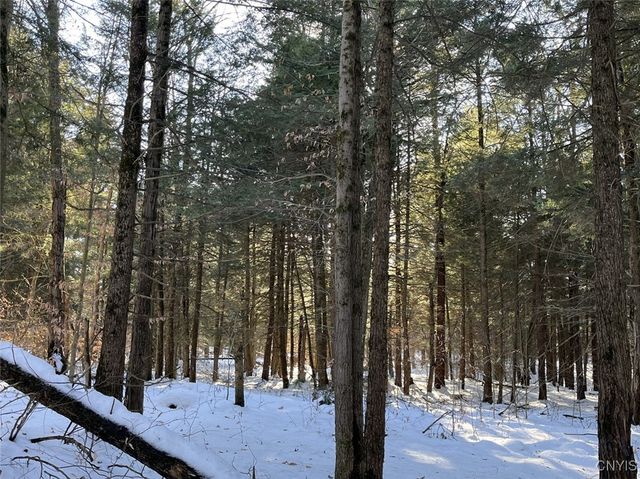 41 Hogs Back Road, Hastings, NY 13076