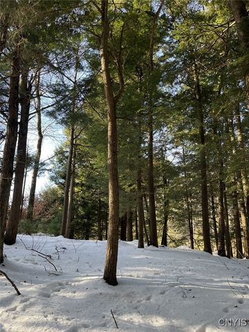 41 Hogs Back Road, Hastings, NY 13076