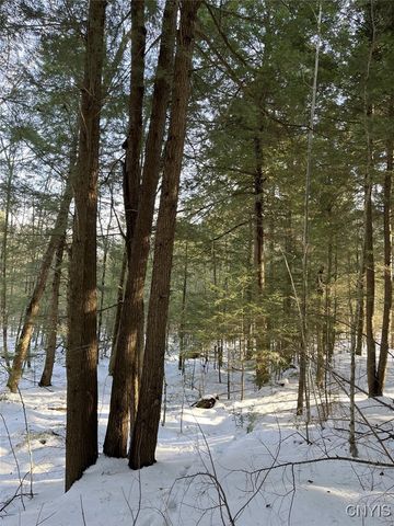 41 Hogs Back Road, Hastings, NY 13076