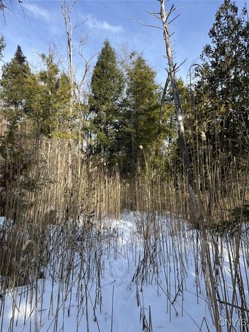 41 Hogs Back Road, Hastings, NY 13076