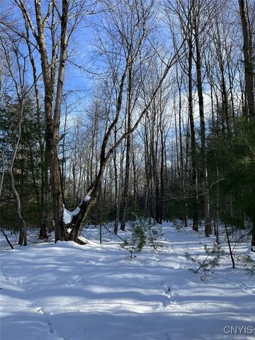 41 Hogs Back Road, Hastings, NY 13076