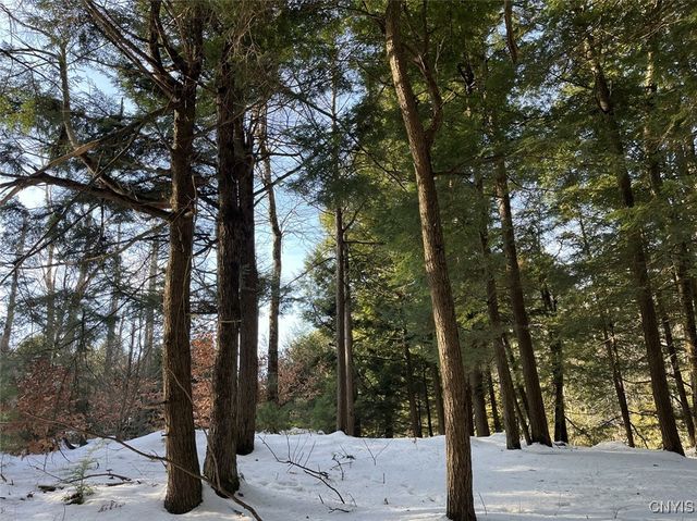 41 Hogs Back Road, Hastings, NY 13076