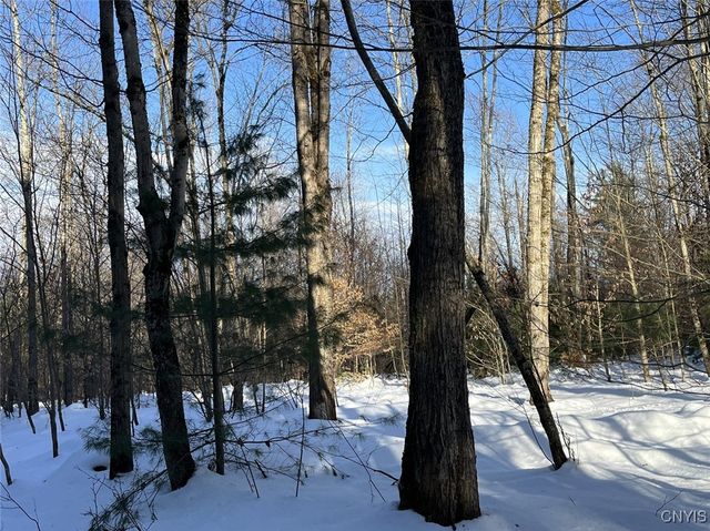 41 Hogs Back Road, Hastings, NY 13076