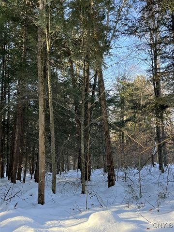 41 Hogs Back Road, Hastings, NY 13076