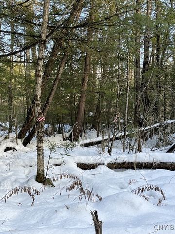 41 Hogs Back Road, Hastings, NY 13076