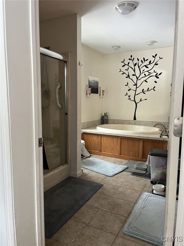 41 Hogs Back Road, Hastings, NY 13076