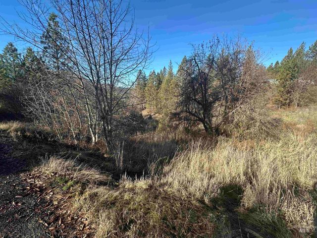 Lots 12, 13, 14 Valley View, Kamiah, ID 83536
