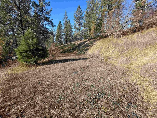 Lots 12, 13, 14 Valley View, Kamiah, ID 83536