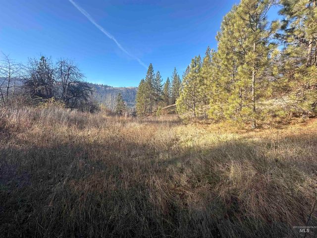 Lots 12, 13, 14 Valley View, Kamiah, ID 83536