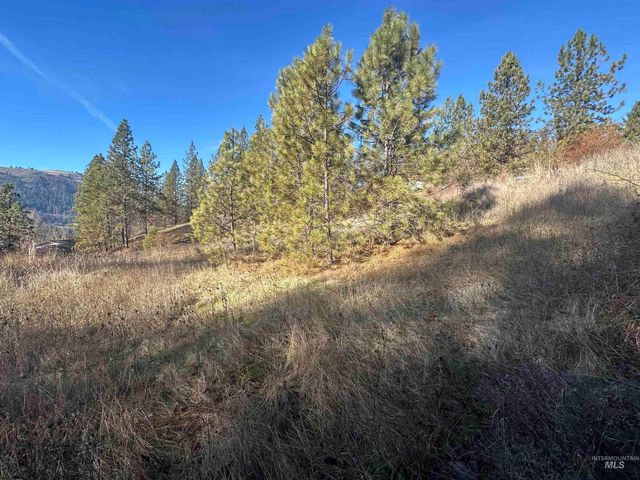 Lots 12, 13, 14 Valley View, Kamiah, ID 83536