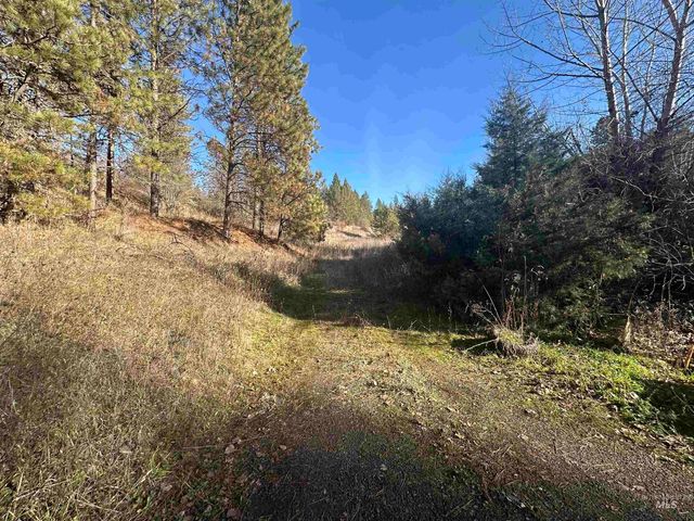 Lots 12, 13, 14 Valley View, Kamiah, ID 83536