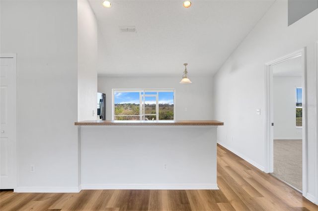 1009 BLUEGRASS DRIVE, Groveland, FL 34736