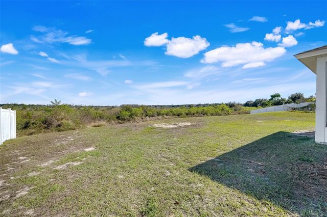 1009 BLUEGRASS DRIVE, Groveland, FL 34736