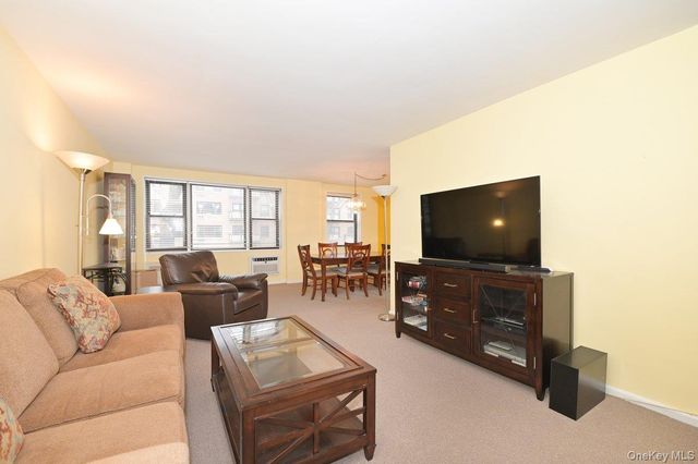 4 Birchwood Court 3J, Mineola, NY 11501