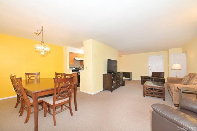 4 Birchwood Court 3J, Mineola, NY 11501