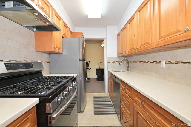 4 Birchwood Court 3J, Mineola, NY 11501