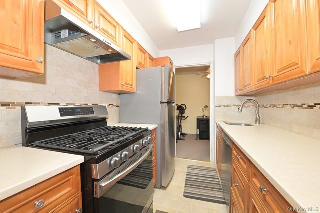 4 Birchwood Court 3J, Mineola, NY 11501