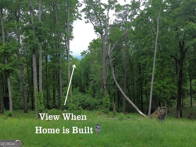 40 High Summit Drive, Talking Rock, GA 30175