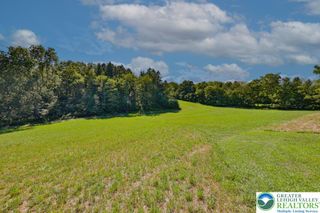 Summer Mountain Road, Towamensing Twp, PA 18071
