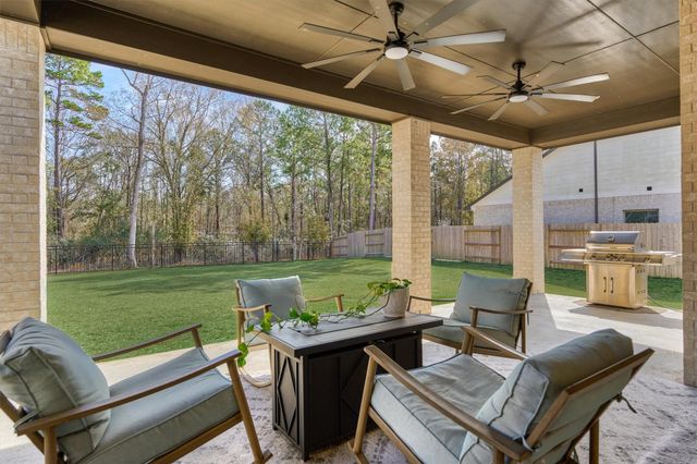 335 Samuels Link Lane, Montgomery, TX 77316