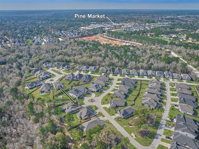 335 Samuels Link Lane, Montgomery, TX 77316