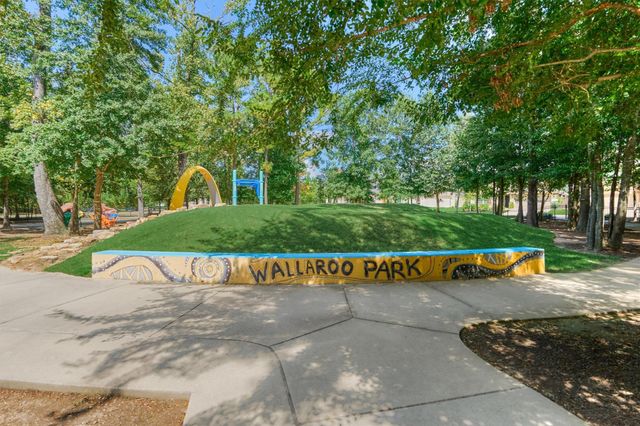 335 Samuels Link Lane, Montgomery, TX 77316