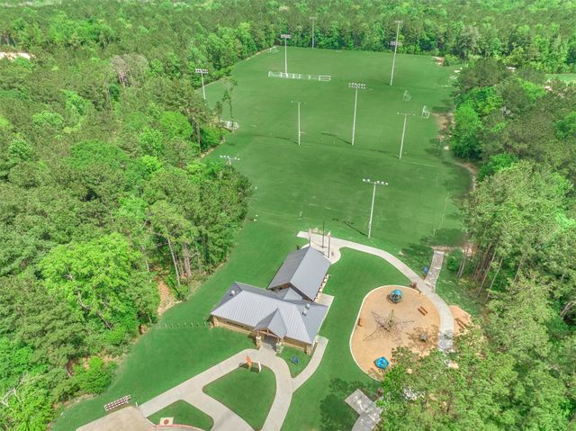 335 Samuels Link Lane, Montgomery, TX 77316