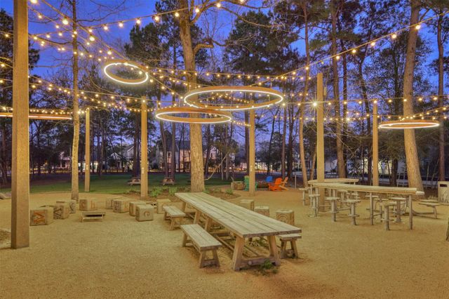 335 Samuels Link Lane, Montgomery, TX 77316