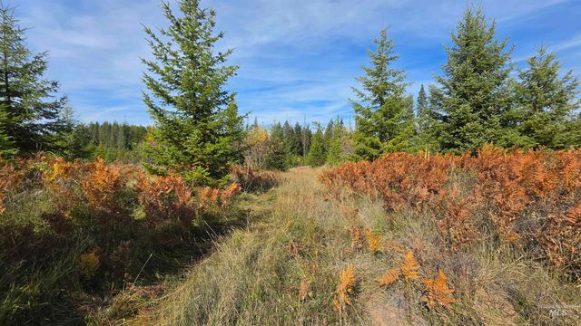 0 Timberline Heights, Parcel 5, Weippe, ID 83553 property photo