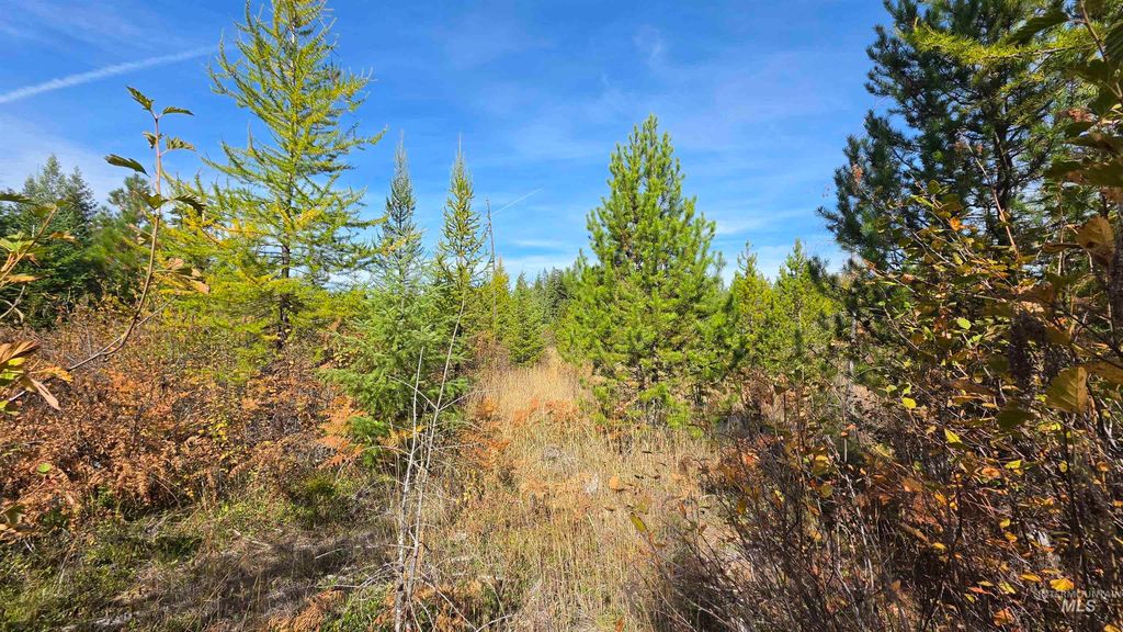 0 Timberline Heights, Parcel 5, Weippe, ID 83553 photo 2