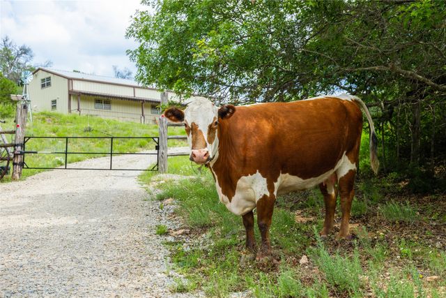 8077 County Road 292, Early, TX 76802