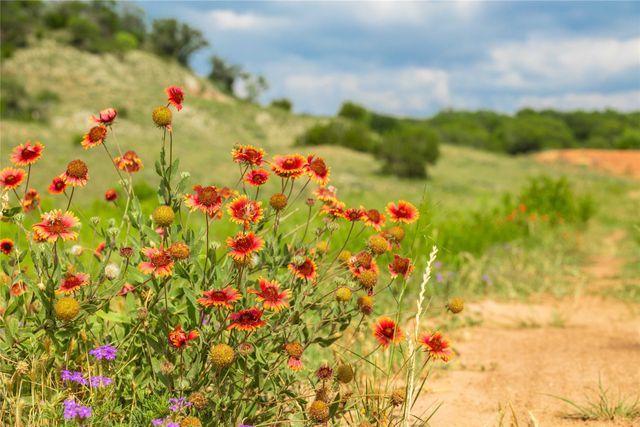 8077 County Road 292, Early, TX 76802