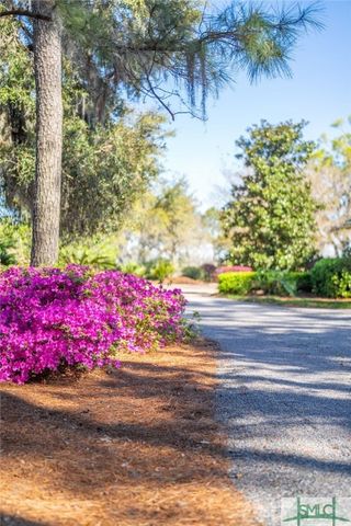 1654 Dublin Drive, Richmond Hill, GA 31324