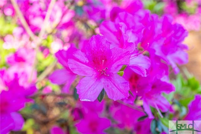 1654 Dublin Drive, Richmond Hill, GA 31324