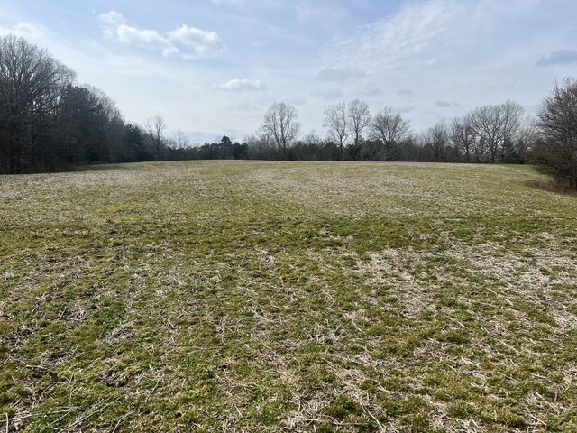 3460 New Home Rd, Smithville, TN 37166