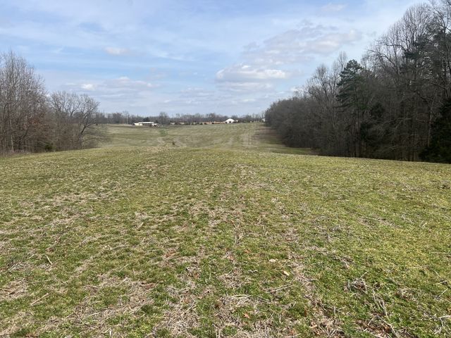 3460 New Home Rd, Smithville, TN 37166