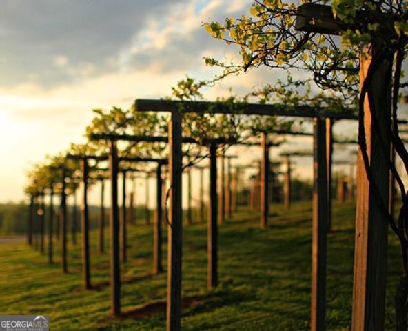 5954 Chickasaw Lane, Braselton, GA 30517