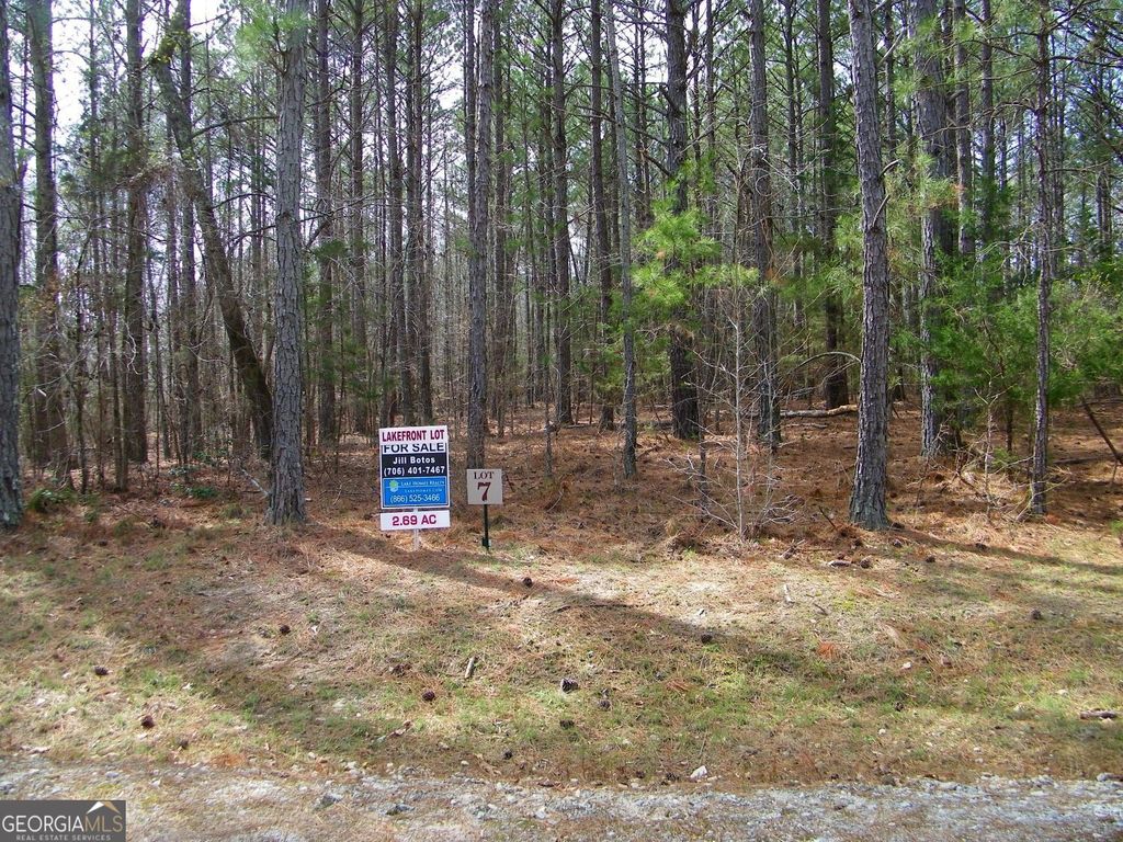 LOT 7 Blackberry Bend, Elberton, GA 30635 — photo 2