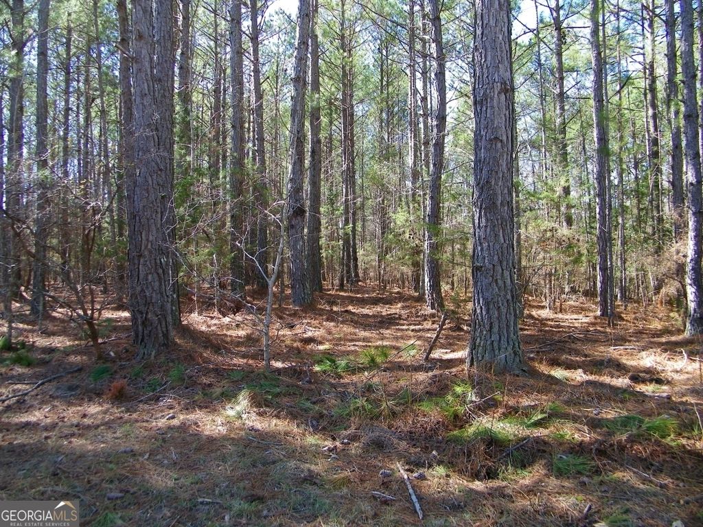 LOT 7 Blackberry Bend, Elberton, GA 30635 — photo 3