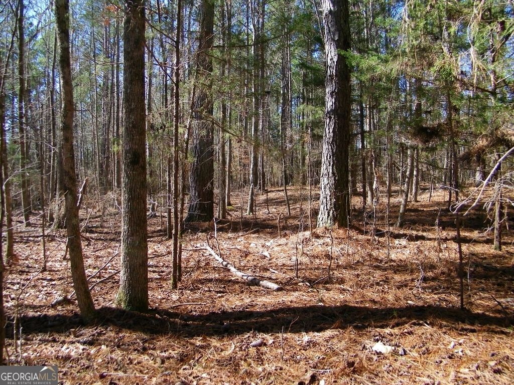 LOT 7 Blackberry Bend, Elberton, GA 30635 — photo 4