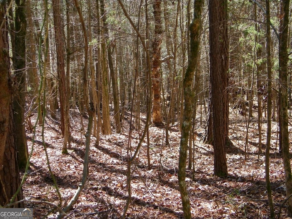 LOT 7 Blackberry Bend, Elberton, GA 30635 — photo 5