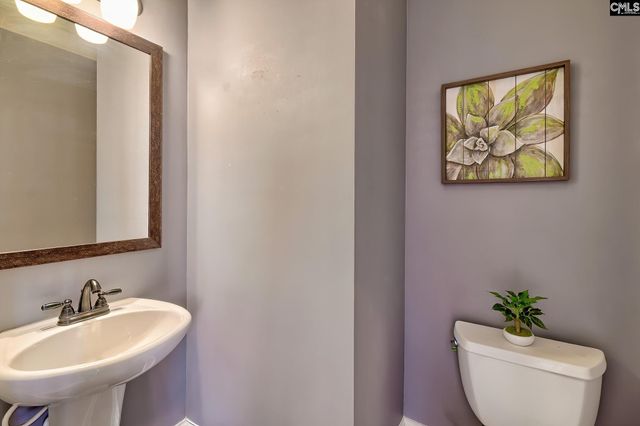 220 Pink Camellia Lane, Lexington, SC 29072