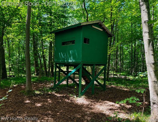 4474 Five Lakes Road, North Branch Township, MI 48461