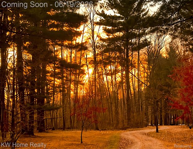 4474 Five Lakes Road, North Branch Township, MI 48461