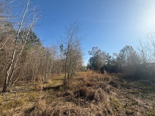 747 County Road 3556, Cleveland, TX 77327