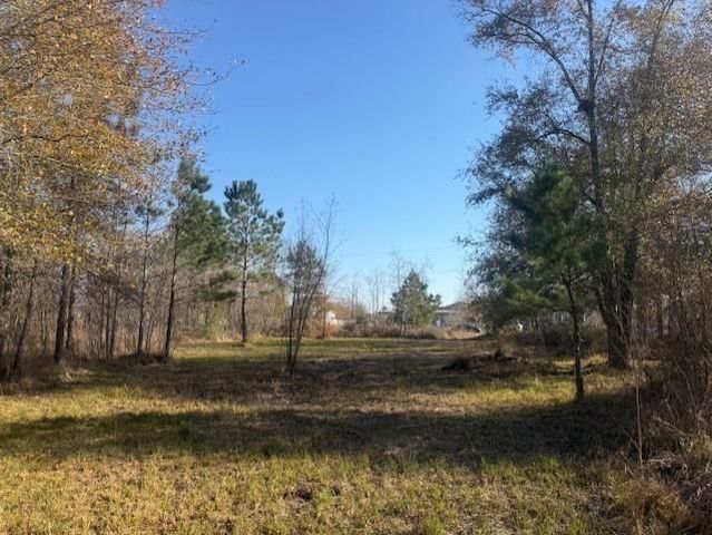 747 County Road 3556, Cleveland, TX 77327