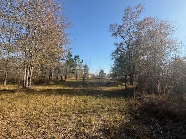 747 County Road 3556, Cleveland, TX 77327